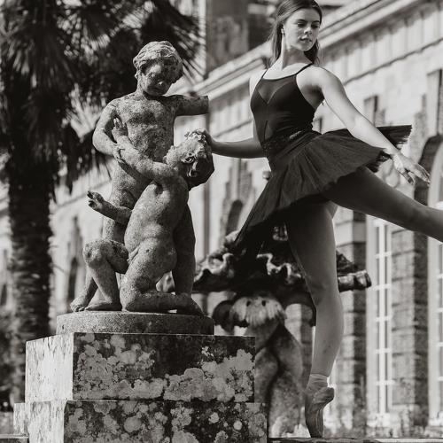 Photo #5000081