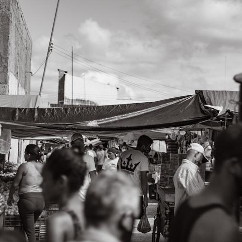 Photo #5000223