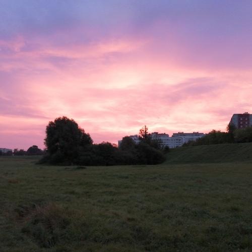 Photo #5000237