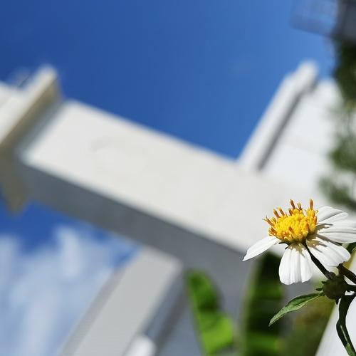 Photo #5000320