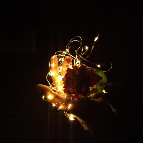 Photo #5000367