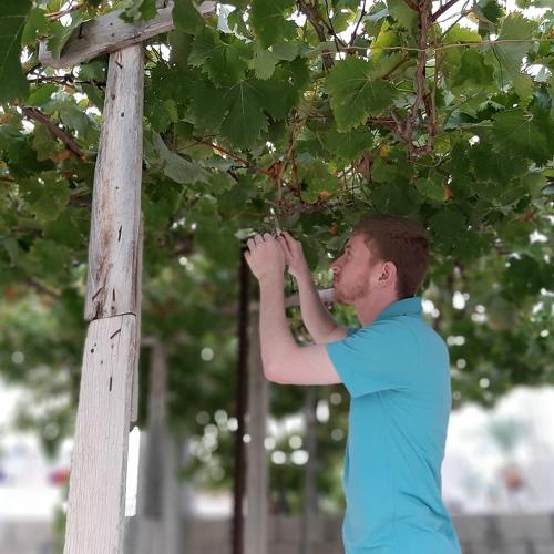 Photo #5001420