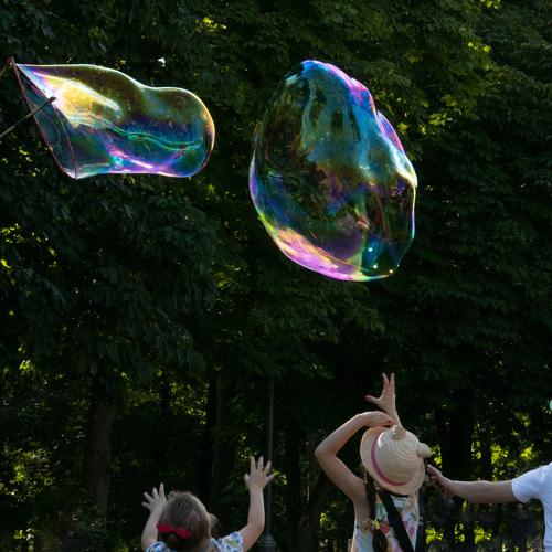 Photo #5001607