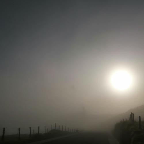 Photo #5001665