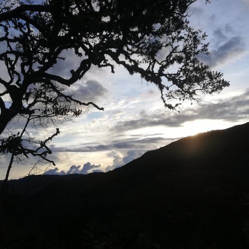 Photo #5001843