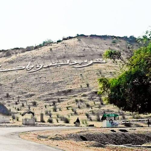 Photo #5002101