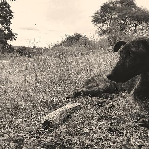 Photo #5002136