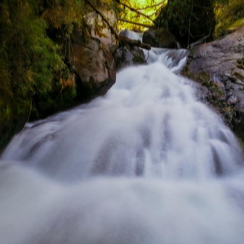 Photo #5002426
