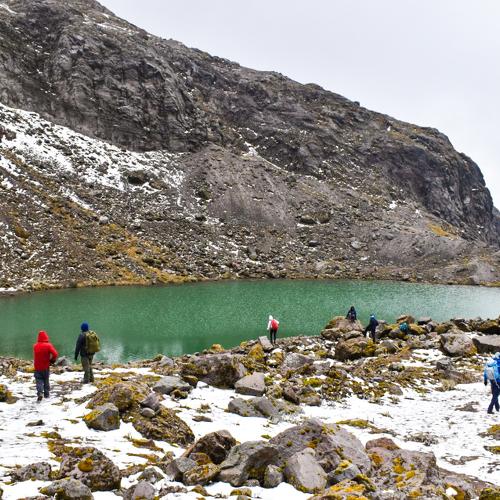 Photo #5002430