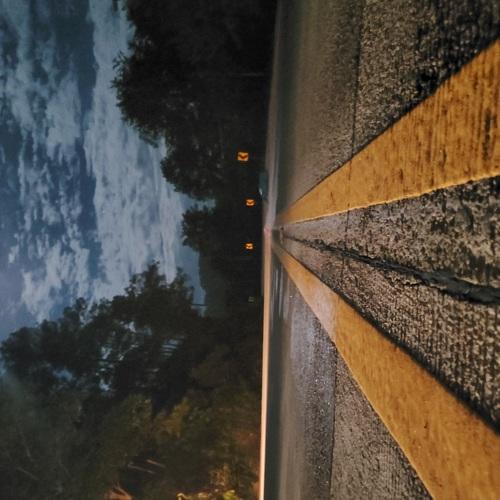 Photo #5002461