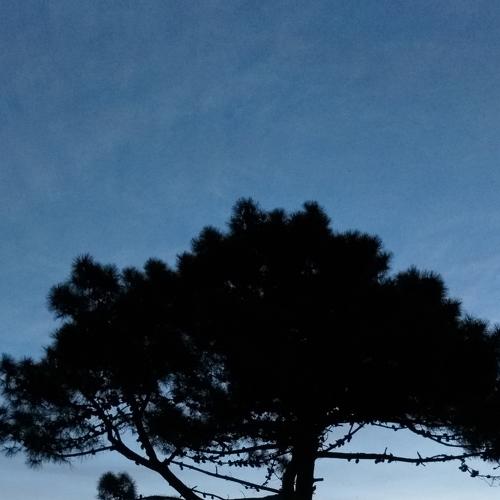 Photo #5002503
