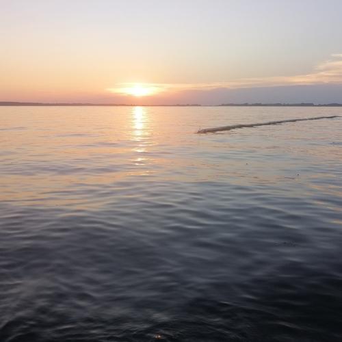 Photo #5002656