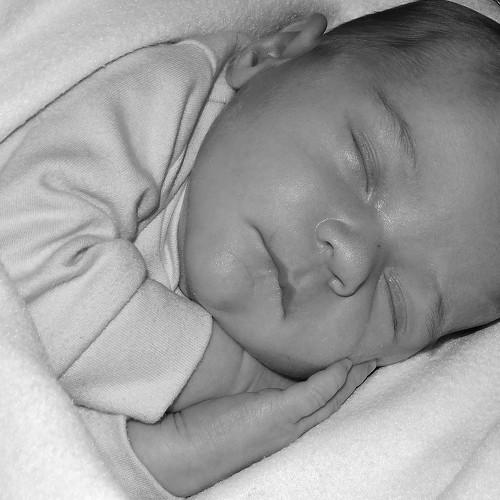 Photo #5002947