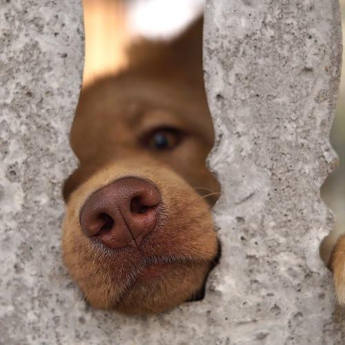 Photo #5003142