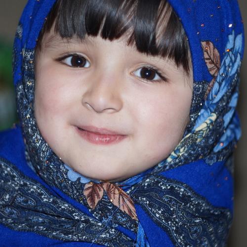 Photo #5003675