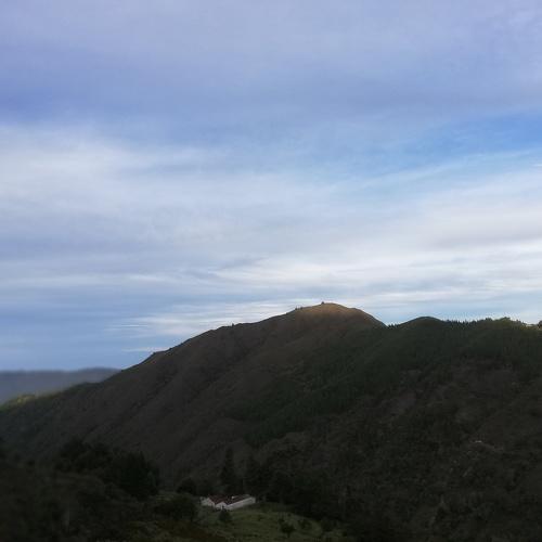 Photo #5003761
