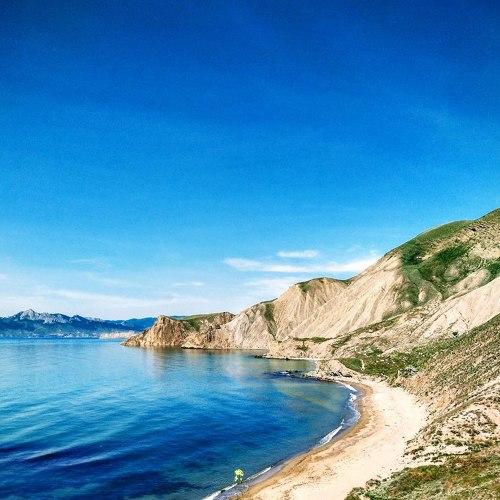 Photo #5003858