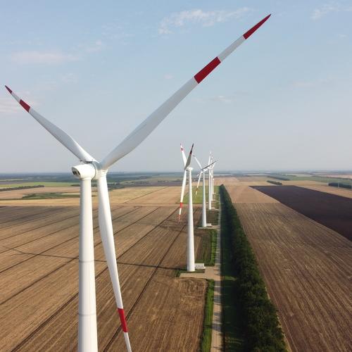 Photo #5004178