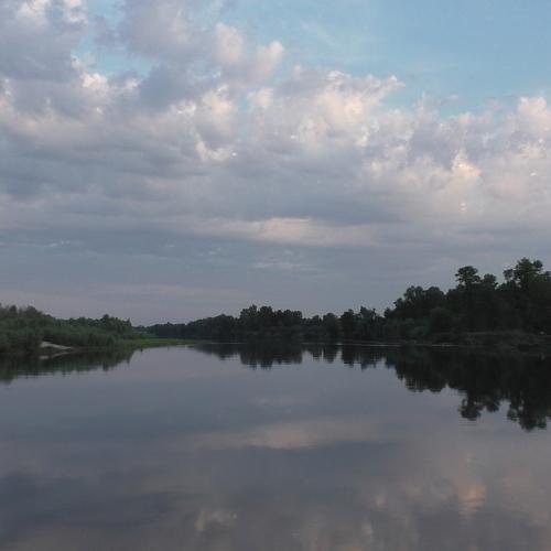 Photo #5004341