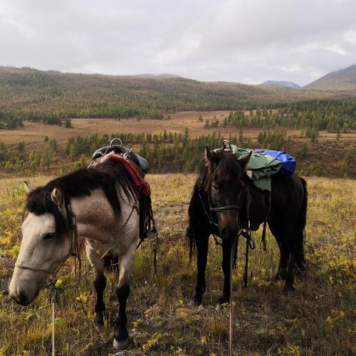 Photo #5004520