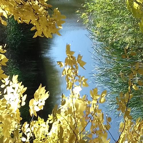Photo #5004594