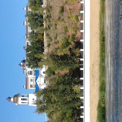 Photo #5004598