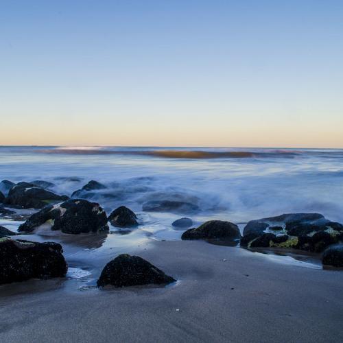 Photo #5004706