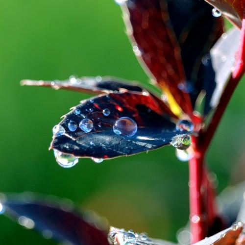 Photo #5004772