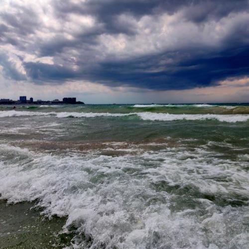 Photo #5005064