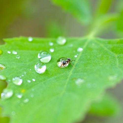 Photo #5005181