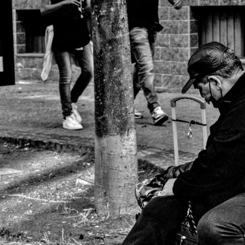Photo #5005833