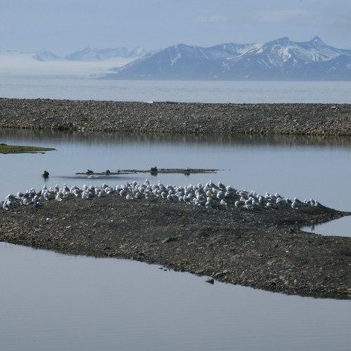Photo #5005962
