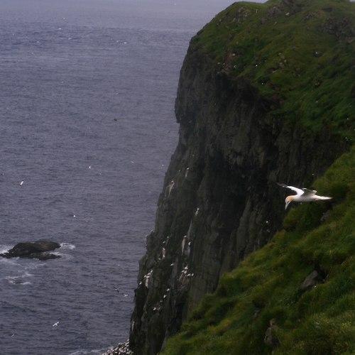 Photo #5005963