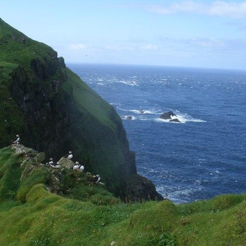 Photo #5005964