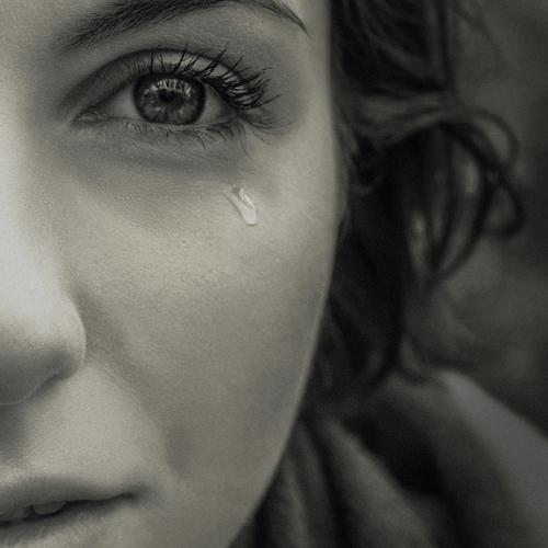 Photo #5006134