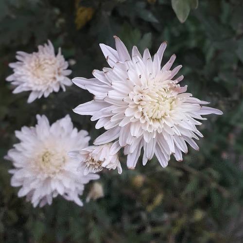 Photo #5006374