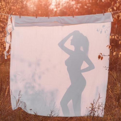 Photo #5006844