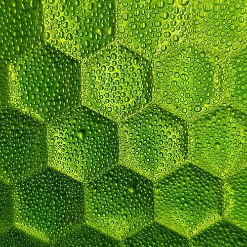 Photo #5007175