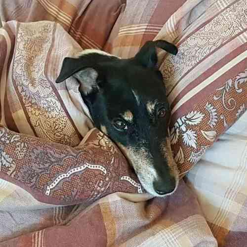 "Я только на минуточку прилегла...."/ "I just lay down for a minute..."