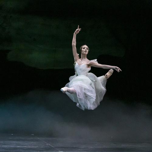 Photo #5008070