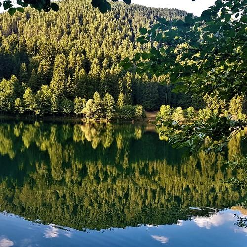Photo #5008447