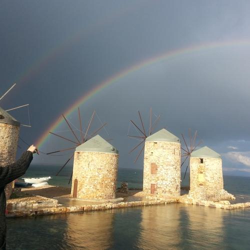 Photo #5008452