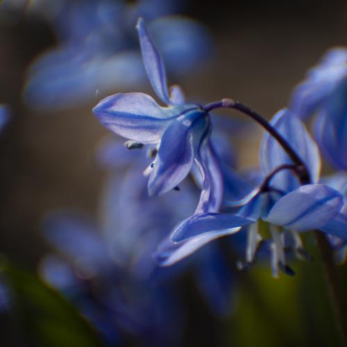 Photo #5009180