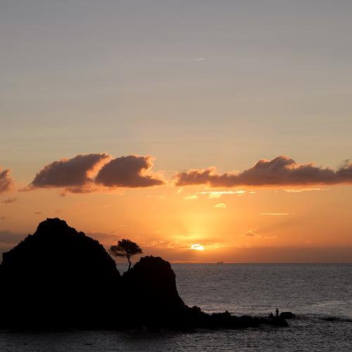 Photo #5009277