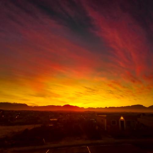 Photo #5009596