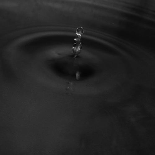 Photo #5009822