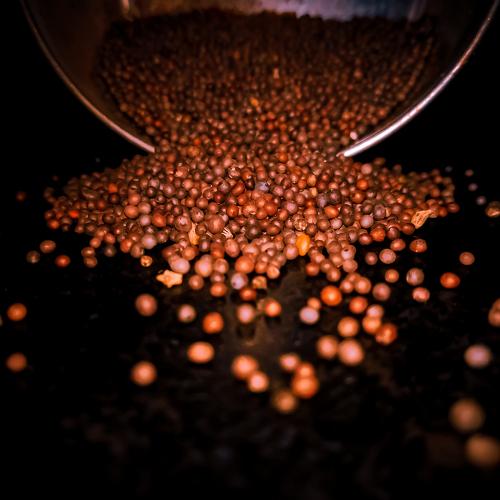 Photo #5009834