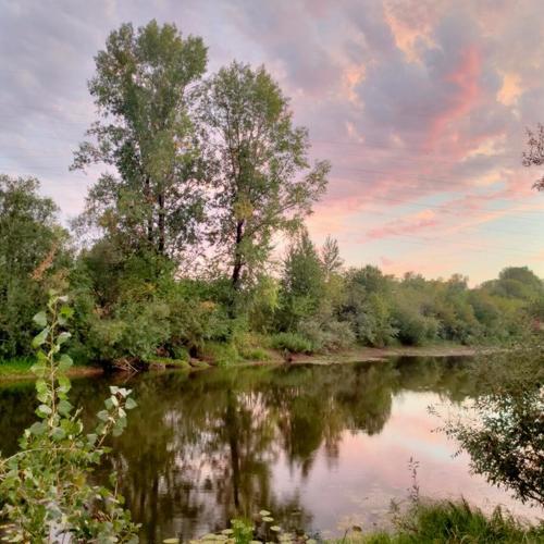 Photo #5010137