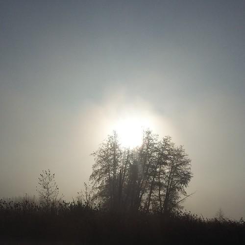 Photo #5010796
