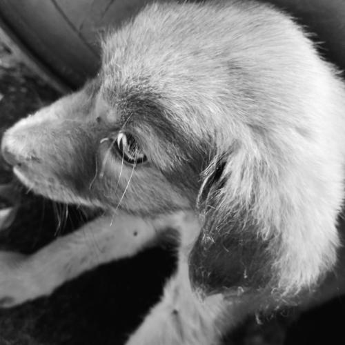 Photo #5010983